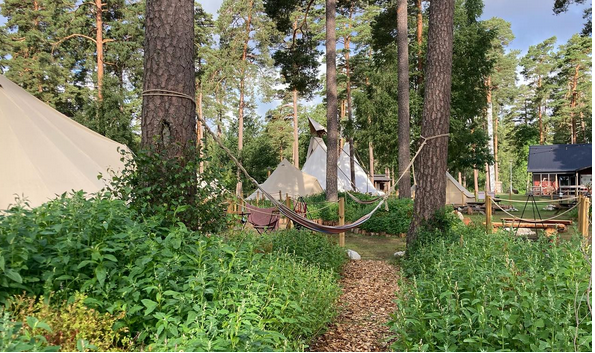 Nature Camping in Swedish Wilderness