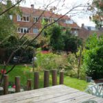 Playful Natural Garden
